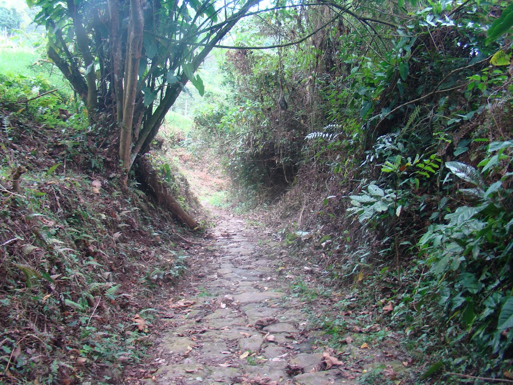Camino de herradura. Foto: Milton Torres
