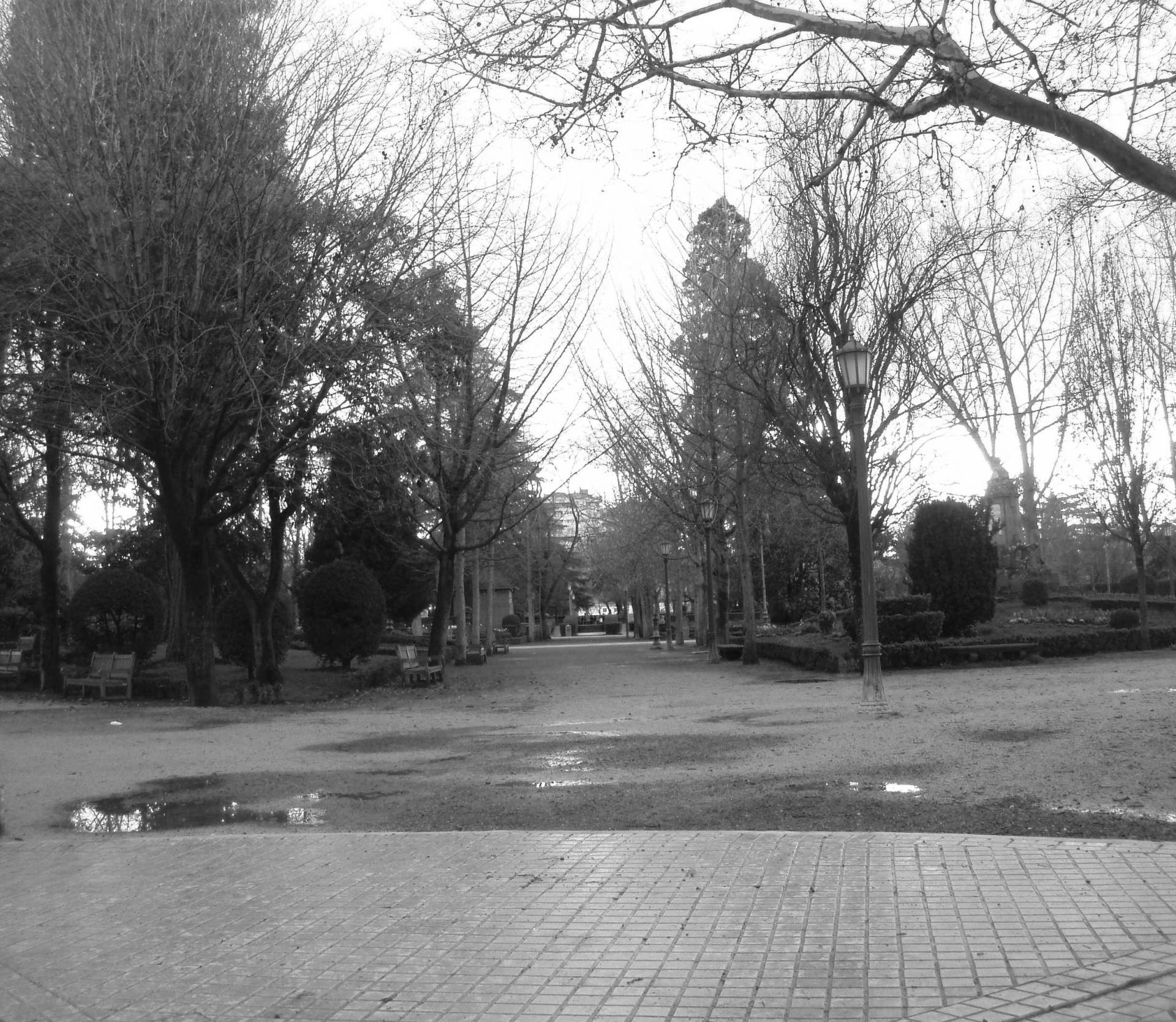 Parque de Pamplona, España. Foto: Noelia Martínez Bodas.