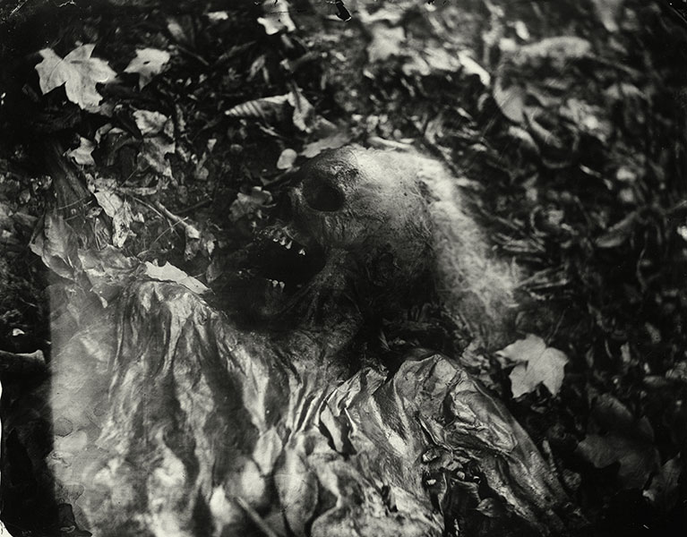 Foto: Sally Mann. Tomada de la colección 'Body Farm'. (sallymann.com).