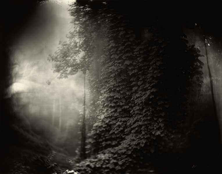 Foto: Sally Mann. Southern Landscapes. (sallymann.com).