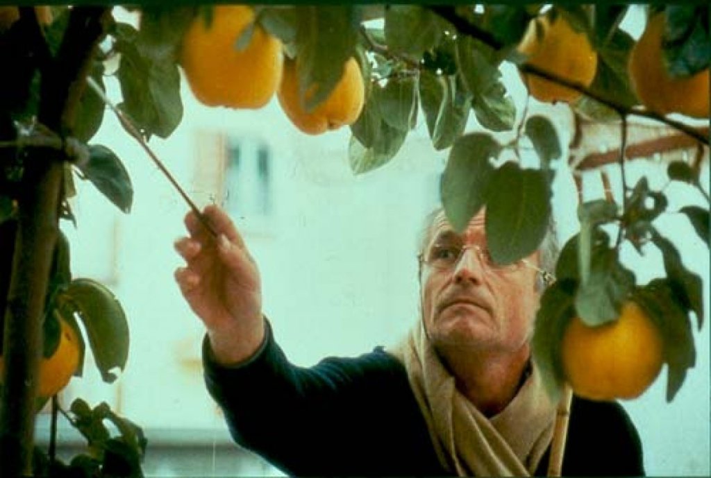 El cine en general le aporta a la pintura el movimiento, la creencia en un porvenir, en un ‘después’.