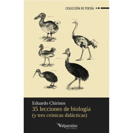Portada del libro. Imagen tomada de Valparaíso Ediciones.