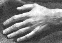 La mano del insigne músico: una síntesis de fuerza y sensibilidad.