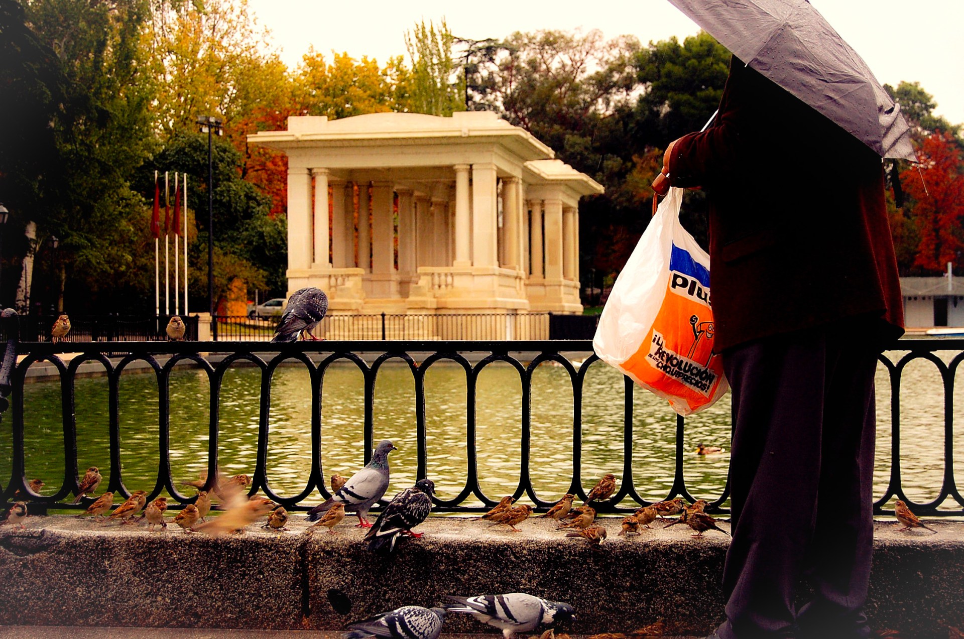 El alimentador de pajaros
