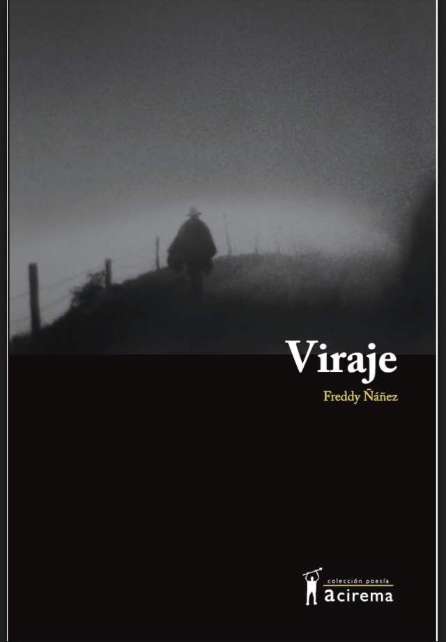 libro-viraje-de-freddy-nanez-D_NQ_NP_611761-MLV26458222045_112017-F