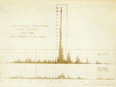 Gráfico de influenza y neumonía 
